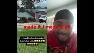 YouTube Reactions #comedy #funny #memes #prank #contentcreator #viralvideo #2025