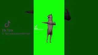 Wolf dance meme hahaha#memes #lobos #wolf #dance #dankmemes