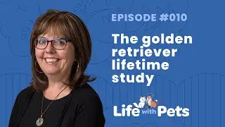 The Golden Retriever Lifetime Study