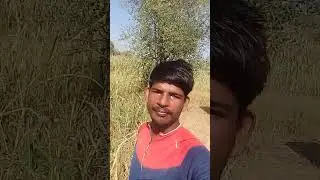 #farming #farmerstories #virtualfarmer #new #song