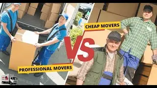 Cheap vs. Professional Removalists in Melbourne: Costs, Reviews & Top Picks (2025 Guide)