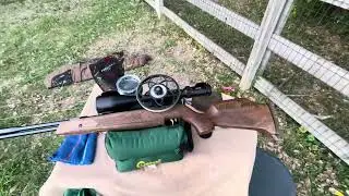Weihrauch HW97 .177 Caliber & Running Rat at 55 Yards Offhand. 