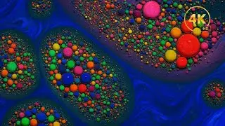 Fractal Pulse 587Hz 57-Min Hypnotic Motion & Deep Ambient Grooves for Relaxation Focus & Meditation