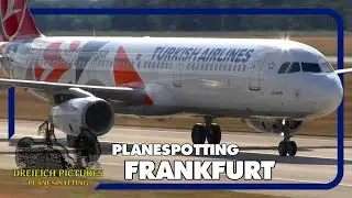 Planespotting Frankfurt Airport | Juli 2017 | Teil 1