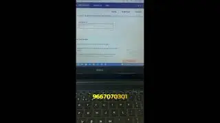 How To Check Icegate Registration Status