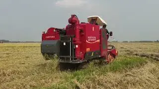 Mahindra paddy harvester sleeping crop harvesting 💪🌾🌾#combineharvester #mahindra #reels #sumanta 