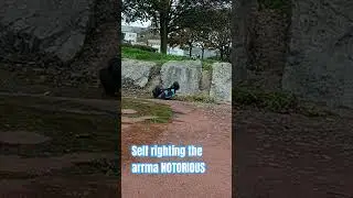 Self righting the arrma NOTORIOUS rc truck #arrma #rctricks