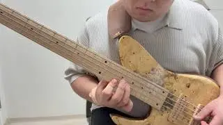 Bass Bin 'The Chicken' Bass Solo