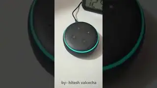 funny video#alexa#swear word#amazon