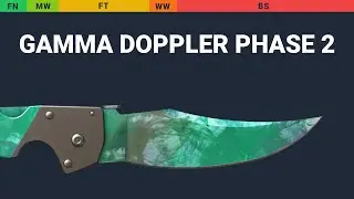 Falchion Knife Gamma Doppler Phase 2 - Skin Float And Wear Preview