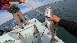 Я поймал пятнистую форель на САМУЮ СТРАННУЮ ПРИМАНКУ В ЖИЗНИ!!!!!