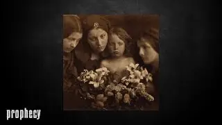 Germ - Butterfly