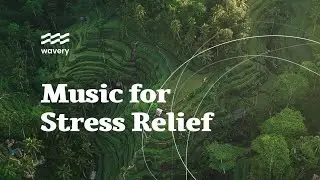 Beautiful Calming Music for Meditation and Stress Relief &mdash; by Wavery