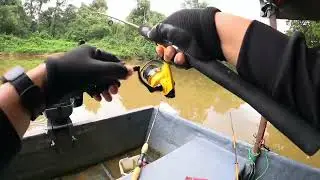 Memancing Udang Galah Dapat Ikan besar!!!