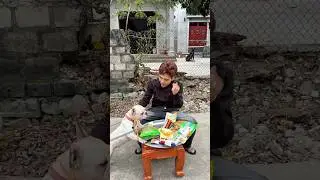 The Loyal Dog Goes Shopping for Candy When Baby Gets Hungry and Mom Is Away#dog #lovedog #pets