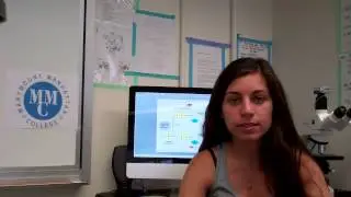 What can you do with a Biology degree?