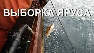 ВЫБОРКА ЯРУСА. Как выбирается ярус