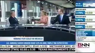 Newstrike Capital CEO on State of Gold Mining in Mexico
