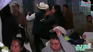 15 años Dafne