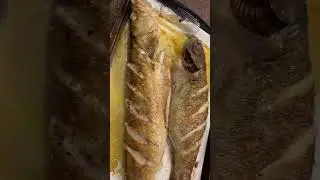 Baked Walleye and Bass || Simple dinner yet delicious 🤤