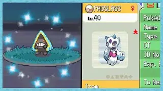 [Live] Shiny Female Snorunt after only 575 REs in Platinum+Evolution!#DTQ4
