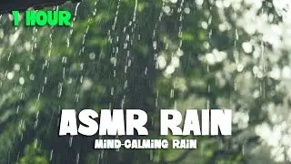 1 Hour ASMR rain | Sleep aid