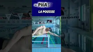 Les diff&eacute;rentes phases du mouvement de bras en crolle
