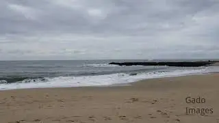 Bean Hollow State Beach