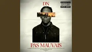 PAS MAUVAIS