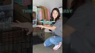 🏠Difference you see! 🐶🩷 #puppy #petaccessories #daschund #aesthetic #dogcrate #petlovers #doglover