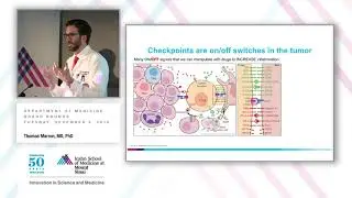 Cancer Immunotherapy: In search of the other 