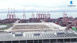 GLOBALink|Largest container consolidation center in China's Greater Bay Area starts trial operation