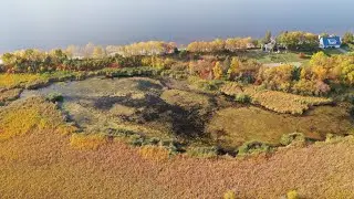 Marais Bolduc, 6 octobre 2022 Métabetchouan─Lac-à-la-Croix