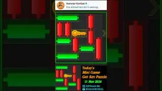 Hamster Kombat Today's 11 November Mini Game Get Key Puzzle