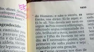 Dia 15 de Janeiro
