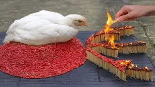 Match Chain Reaction🔥VOLCANO ERUPTION (With Chicken)😱 Amazing Fire Domino