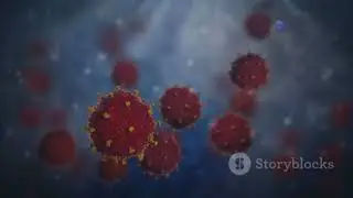 Unlocking the Microscopic World: Electron Microscopy in Medical Science