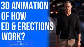 3d Animation of Erection & Erectile Dysfunction | How an Erection Works? Corpora Cavernosa Erections