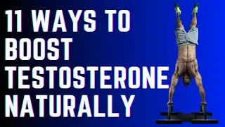 BOOST TESTOSTERONE NATURALLY | STEP BY STEP | INCREASE TESTOSTERONE LEVELS