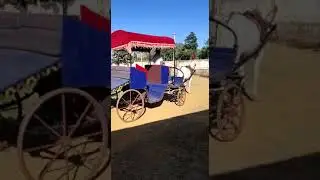 Horse Buggy
