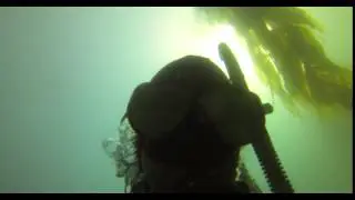 GOPR0010