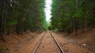 Exploring the abandoned Cresco Railway Siding | Long Island/Hastings - Victoria
