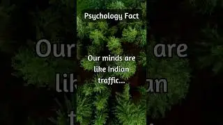 Relatable Content #17 - Psychology