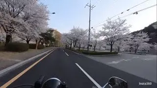 바출 바퇴 !!! 봄 즐기기 ~