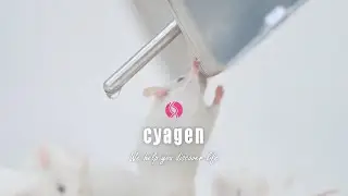Cyagen - Partnering for Innovation in Gene Editing & Drug Discovery