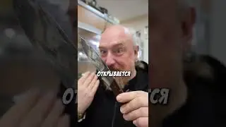Ищу БАНДИТСКИЙ НОЖ! #юмор #нож #приколы #EDC