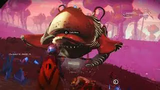 LIVE STREAM NMS - Living Ship Upgrades: How and Where