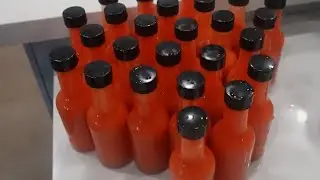 Ghost Thai Chili Pepper Hot Sauce Fermentation