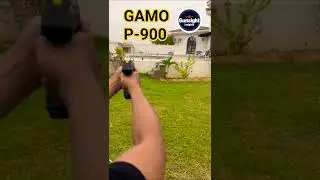 GAMO P-900 #gamop900  #shortvideo #clips #asmr #airsoft #reels #airgun #mm2 #shorts #short #gun