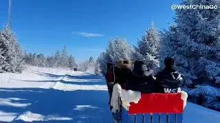 changbaishan tour